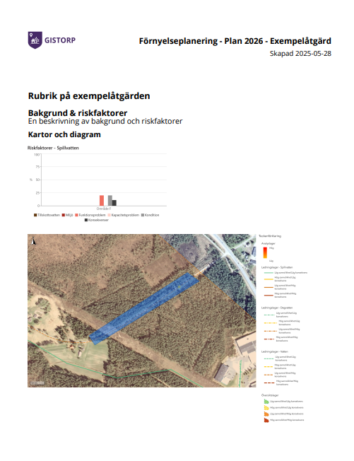 Exempelrapport