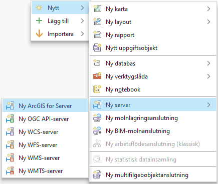 Ny server